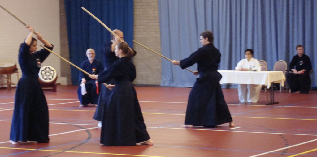 EJCMierlo2009_1731