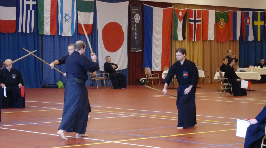 EJCMierlo2009_1766